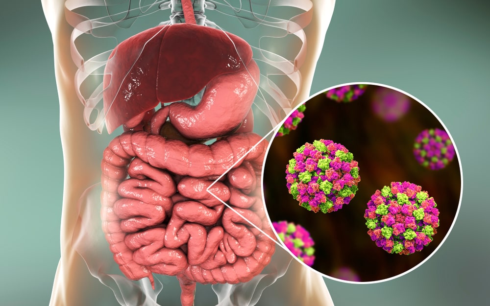 gastroenterologist in perry hall