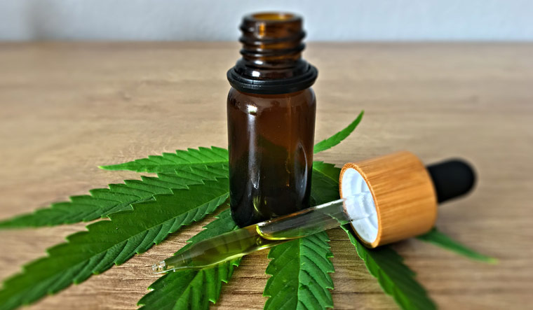 CBD Oil